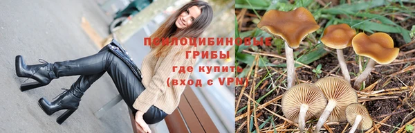 сатива Киренск