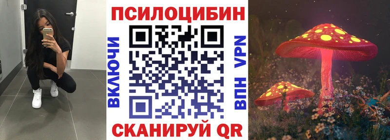 кракен зеркало как найти закладки Бикин Псилоцибиновые грибы Psilocybine cubensis